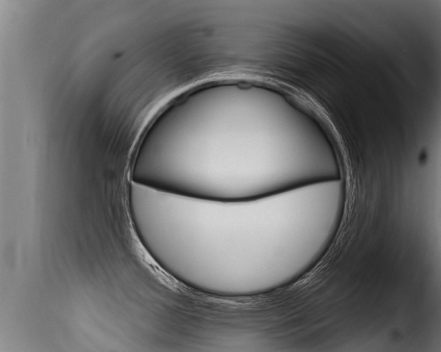 X0000116111388200911230944