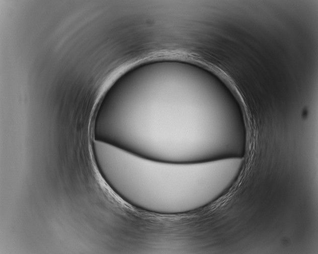 X0000116111389200911230944
