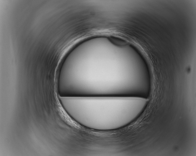 X0000116111392200911230944