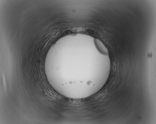 X0000116111393200911230944