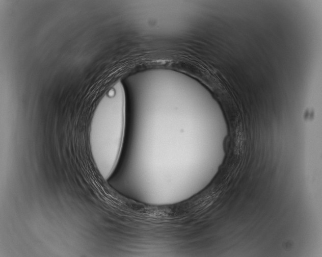 X0000116111394200911230944