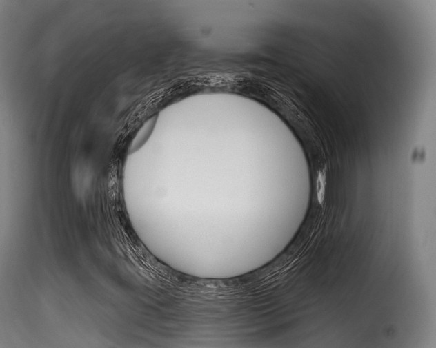 X0000116111395200911230944