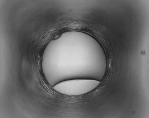 X0000116111396200911230944