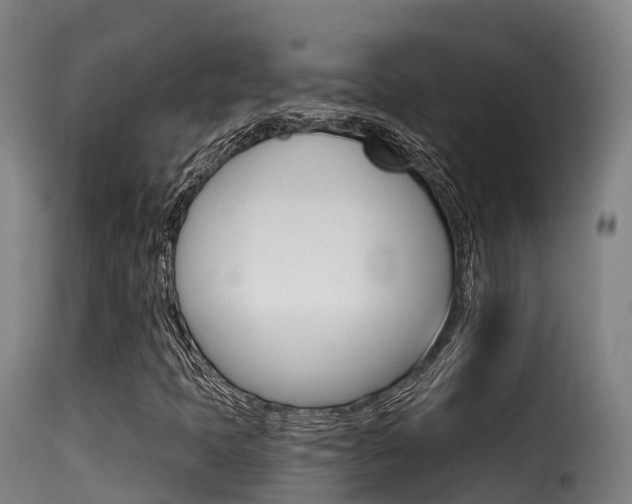 X0000116111397200911230944