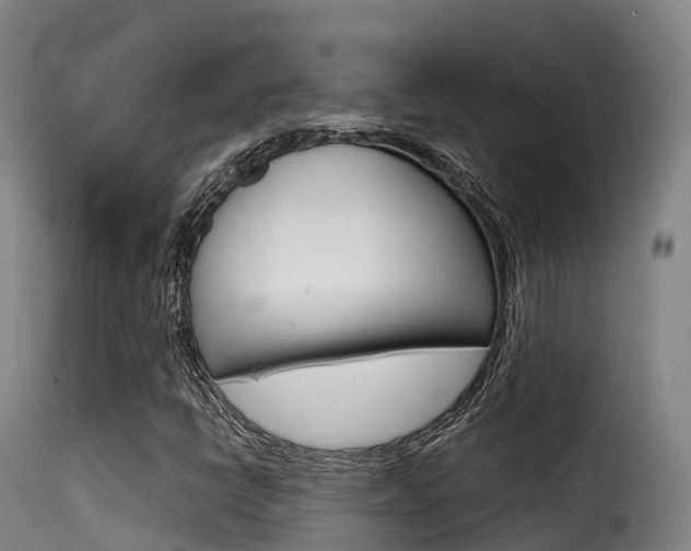 X0000116111398200911230944