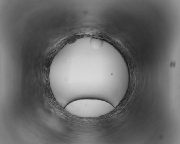 X0000116111399200911230944