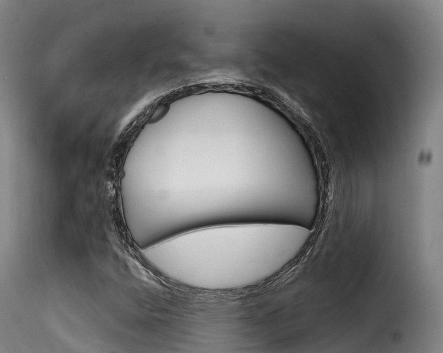 X0000116111400200911230944