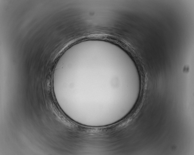 X0000116111401200911230944