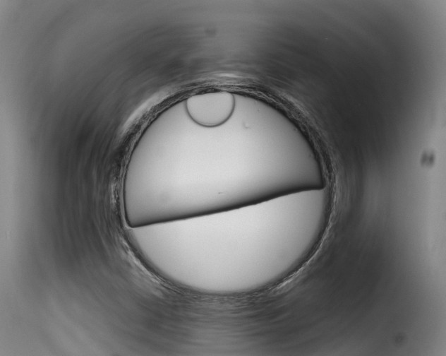 X0000116111402200911230944