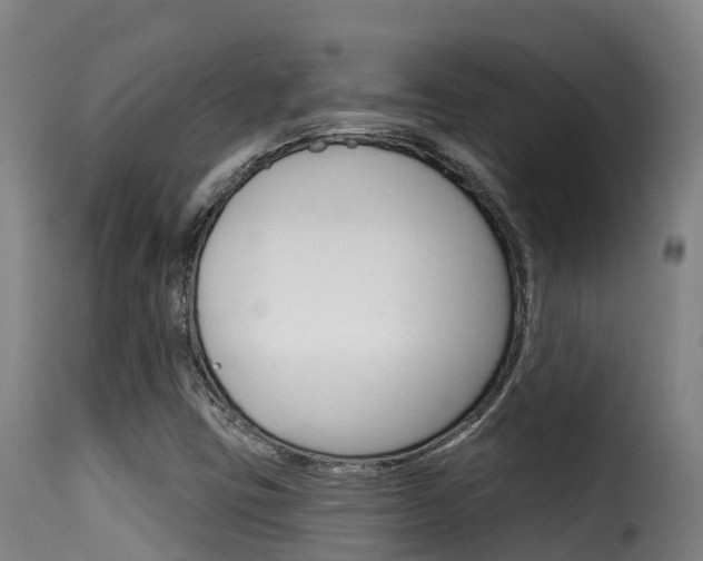 X0000116111403200911230944