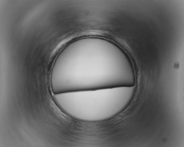 X0000116111404200911230944