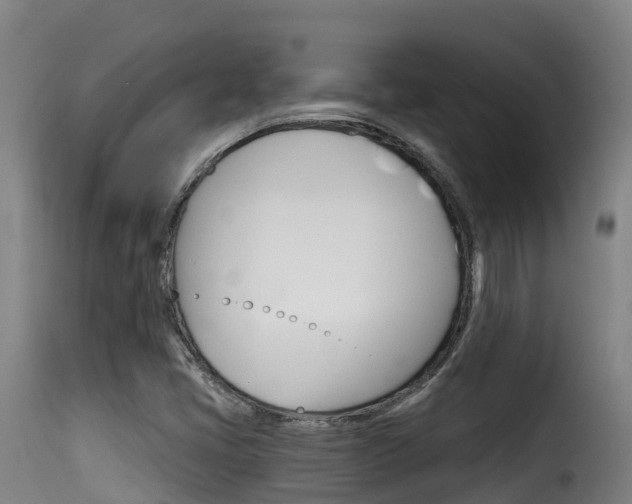X0000116111405200911230944