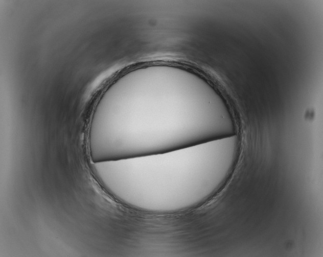 X0000116111406200911230944