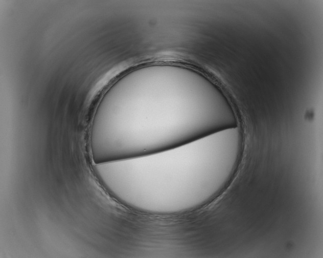 X0000116111410200911230944