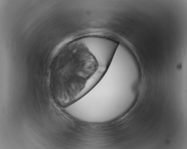 X0000116111411200911230944
