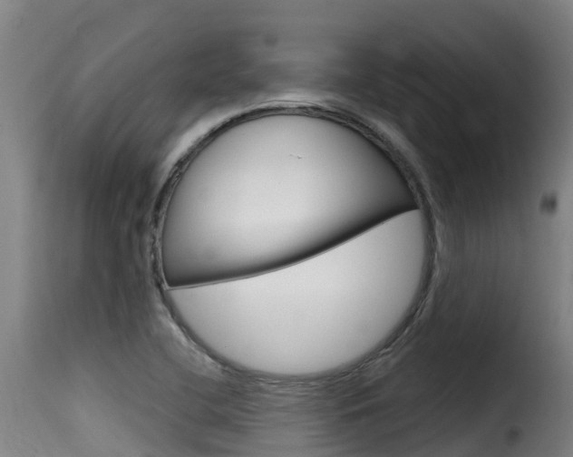 X0000116111412200911230944