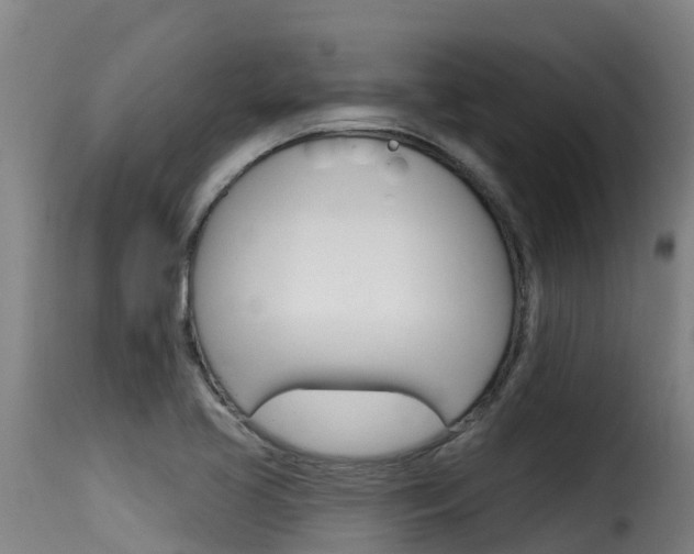 X0000116111413200911230944