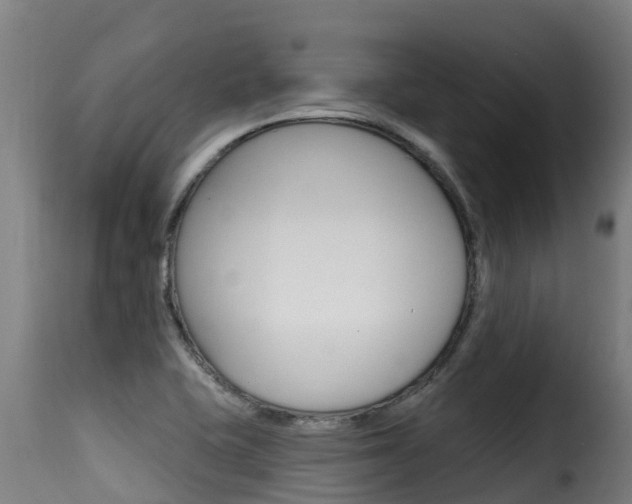X0000116111415200911230944