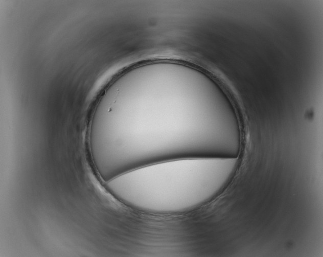 X0000116111416200911230944