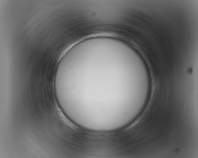 X0000116111417200911230944