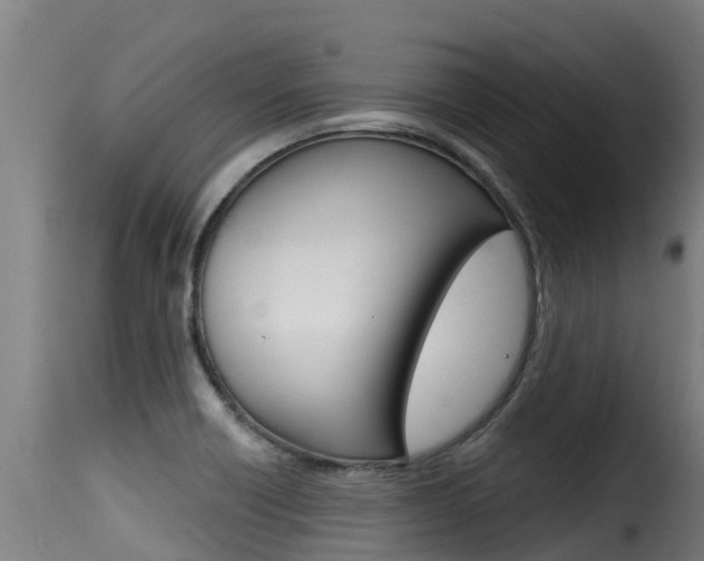 X0000116111418200911230944