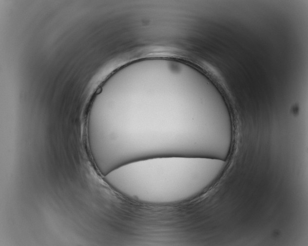 X0000116111419200911230944