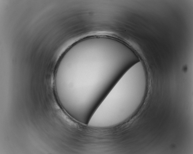 X0000116111420200911230944
