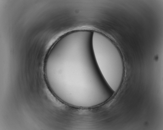 X0000116111422200911230944