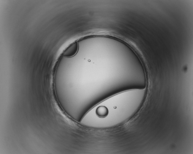 X0000116111424200911230944