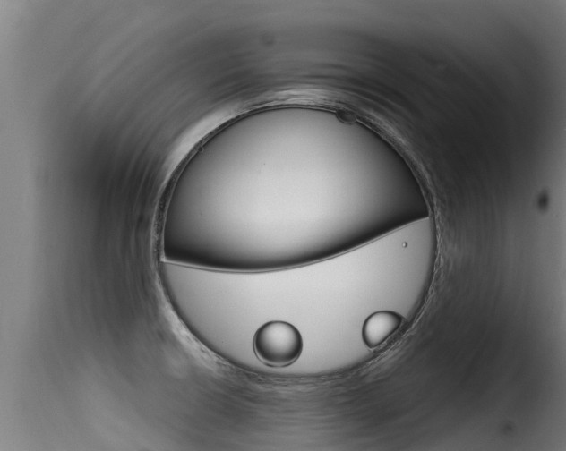 X0000116111426200911230944