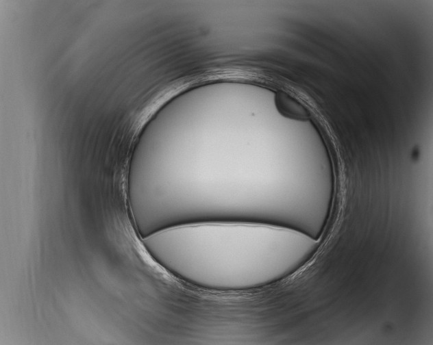 X0000116111433200911230944