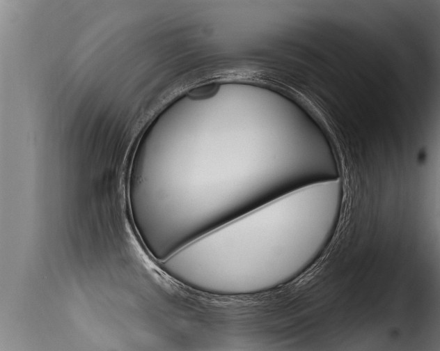 X0000116111434200911230944