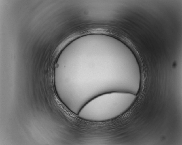 X0000116111435200911230944