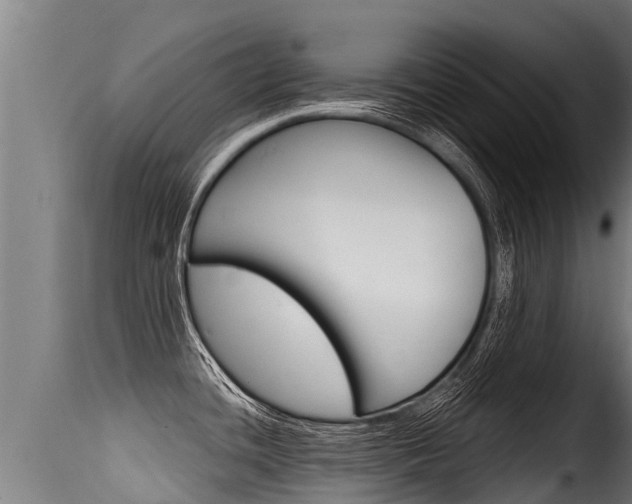 X0000116111436200911230944