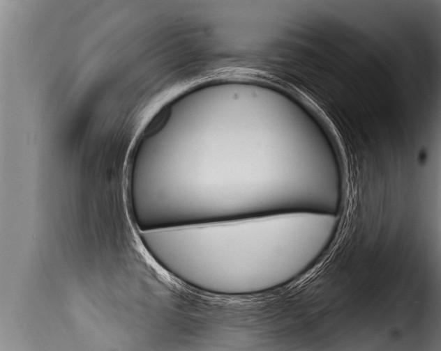 X0000116111437200911230944