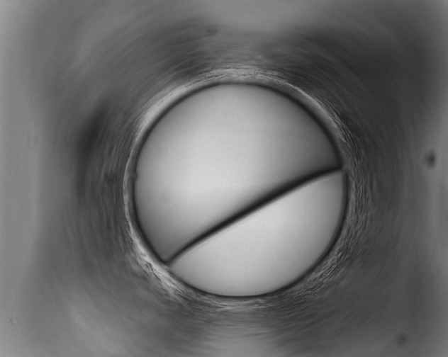X0000116111440200911230944