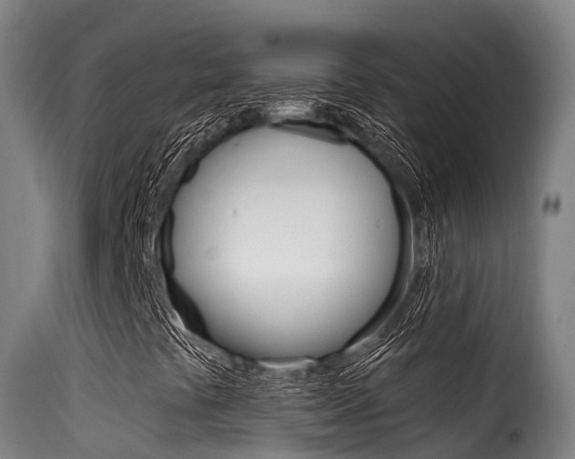 X0000116111441200911230944