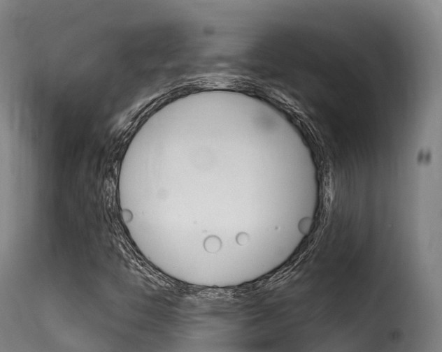 X0000116111446200911230944