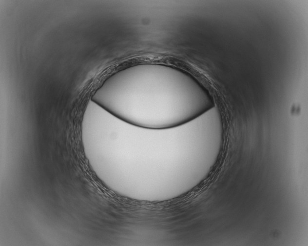 X0000116111447200911230944