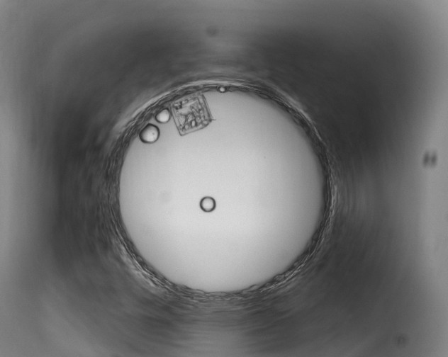 X0000116111448200911230944