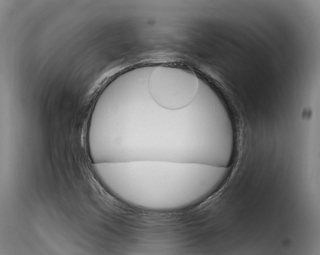 X0000116111451200911230944