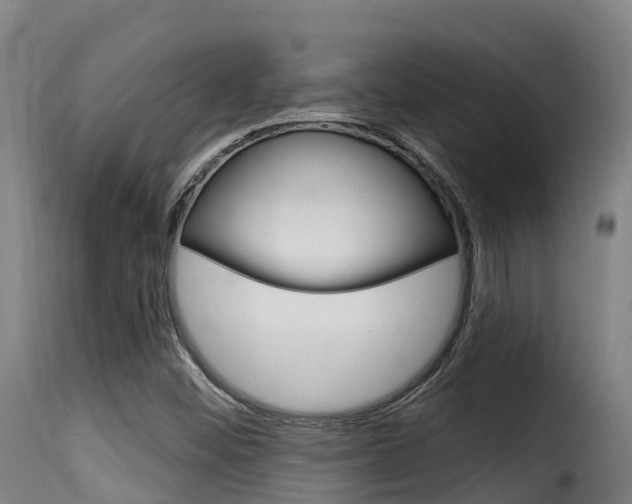 X0000116111452200911230944