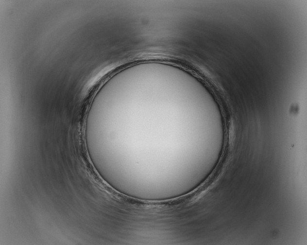X0000116111453200911230944