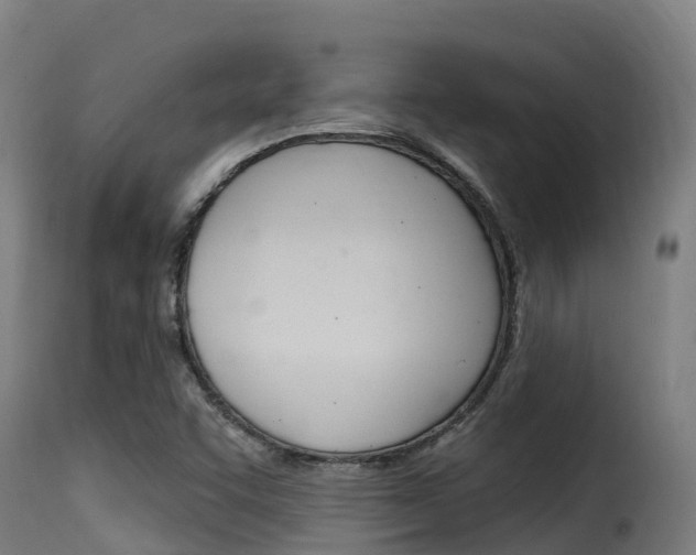 X0000116111455200911230944