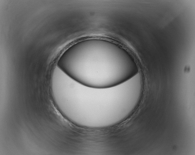 X0000116111456200911230944