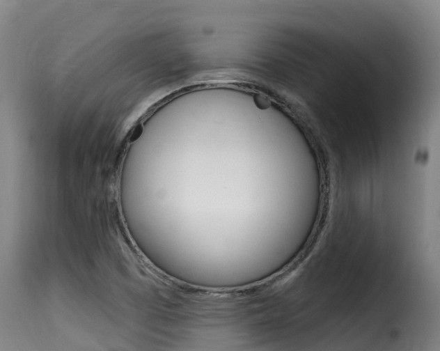 X0000116111457200911230944