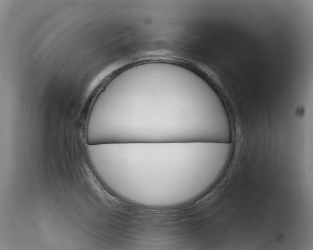 X0000116111458200911230944