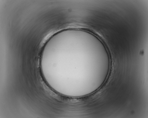 X0000116111459200911230944