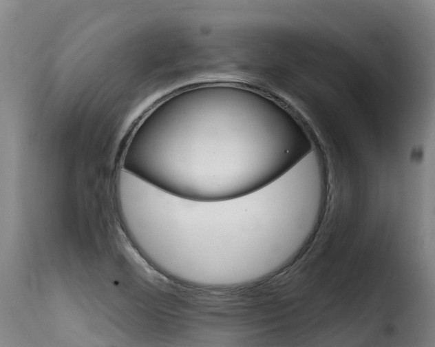 X0000116111460200911230944