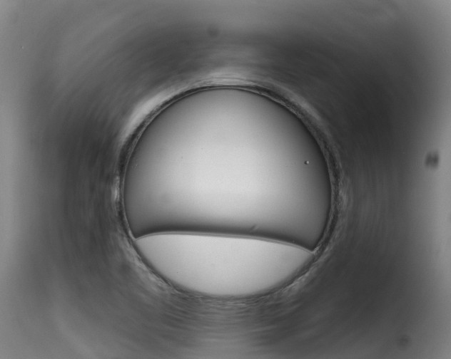 X0000116111461200911230943